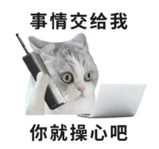 交给我表情包