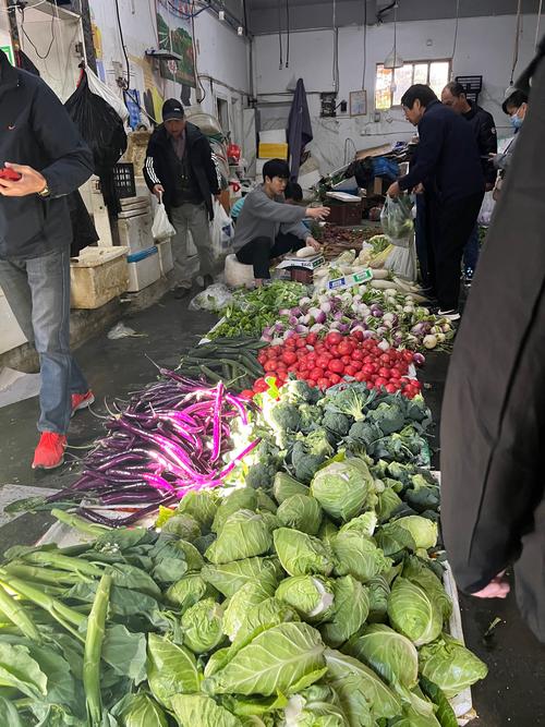 多多买菜买了不想要可以退吗游戏截图