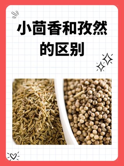 大头和孜然什么关系
