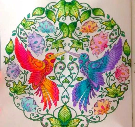 秘密花园4.7