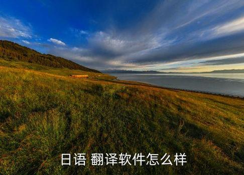 1room手机全自动翻译器