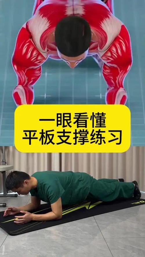 平板支撑是练什么的图标