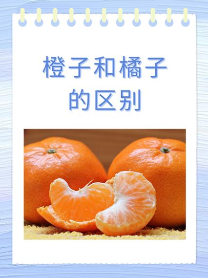 冰糖橙和橙子的区别缩略图