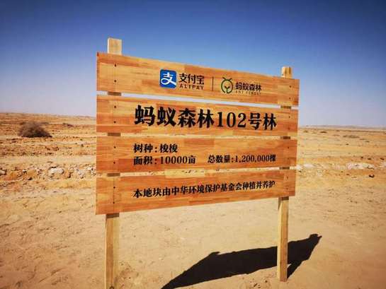 支付宝 蚂蚁森林图标