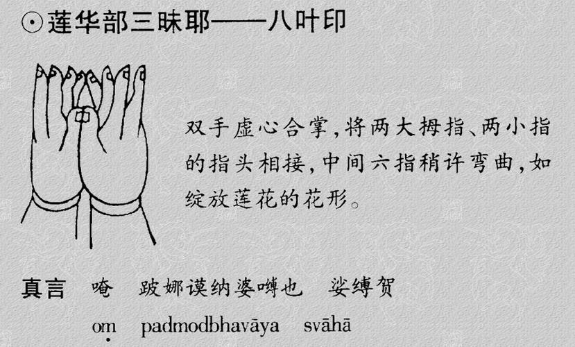 莲花部