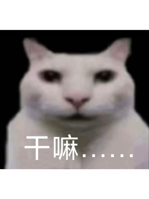 农信易扫是干嘛的