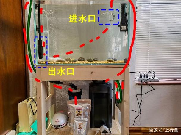 底滤鱼缸正确换水方法