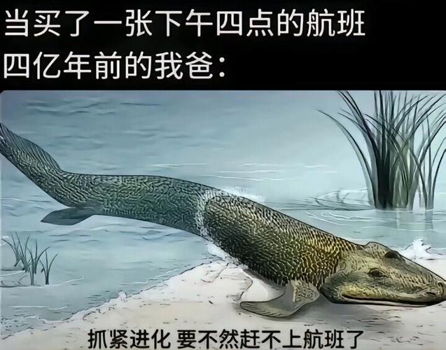 让人一看就笑死的图片