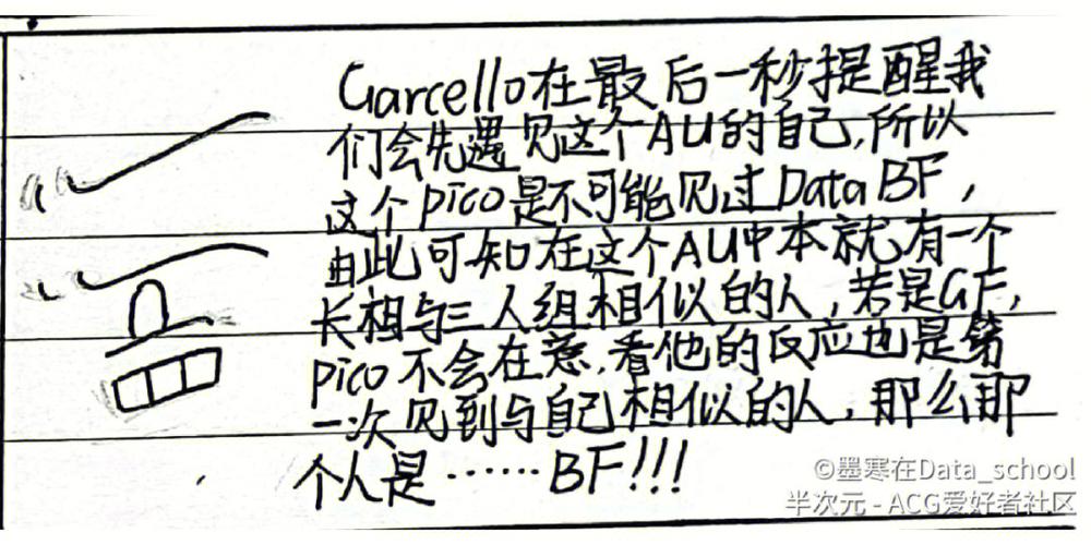 picoXbf车截图