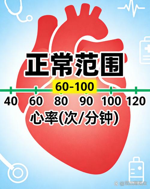 91心率正常吗