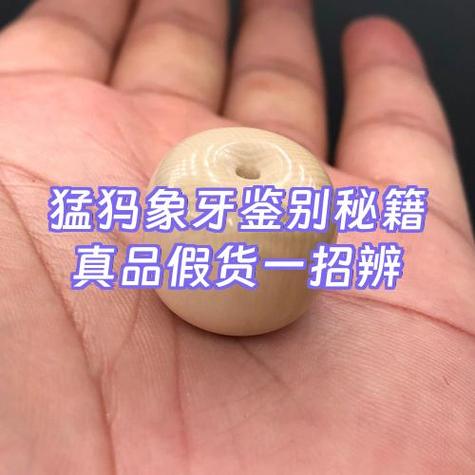 怎么区分象牙真假