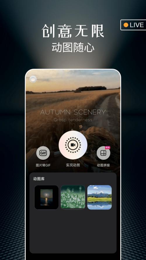 可以拍live照片的软件