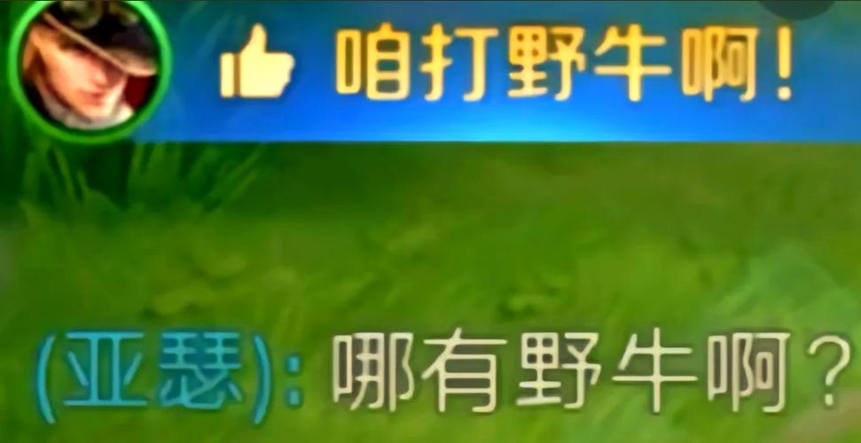 打王者搞笑句子