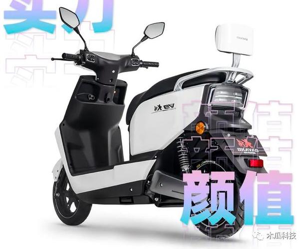 大阳电动车使用说明截图