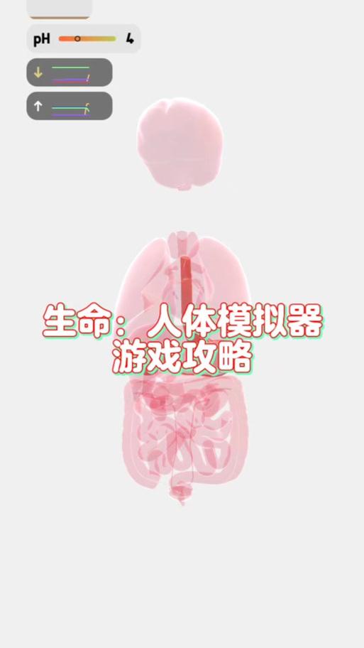life生命模拟器攻略