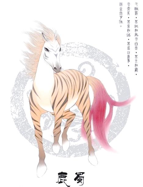 鹿蜀宝宝