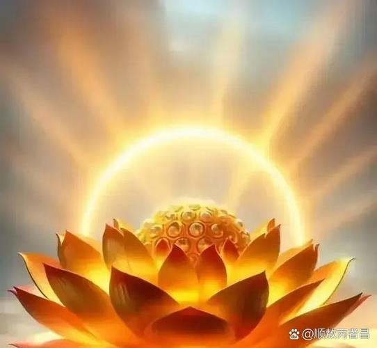 中运转好是什么意思