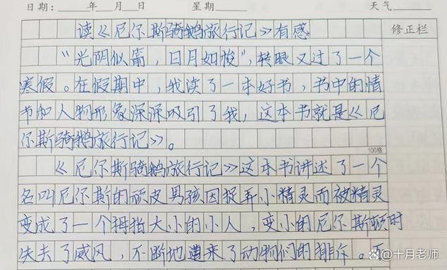骑鹅旅行记读后感截图
