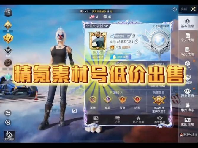 和平精英精氪号