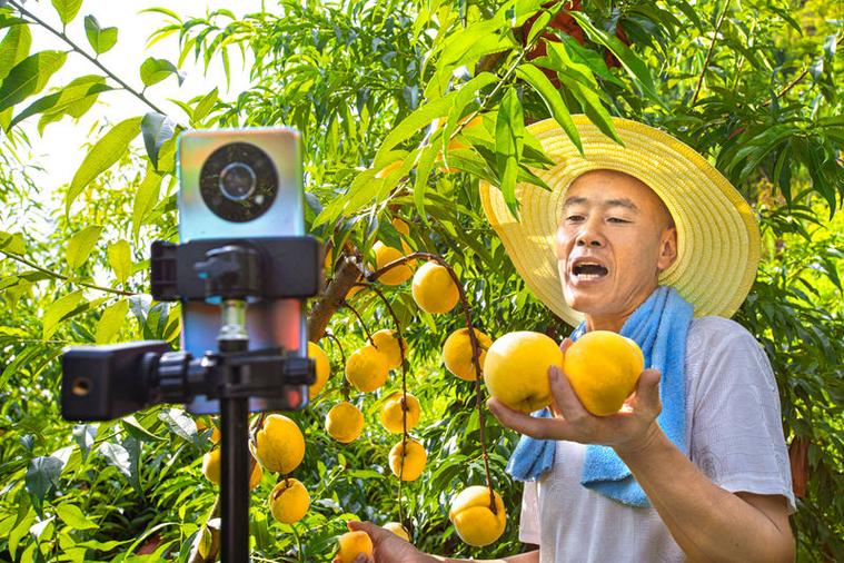 乡村直播,我是村霸