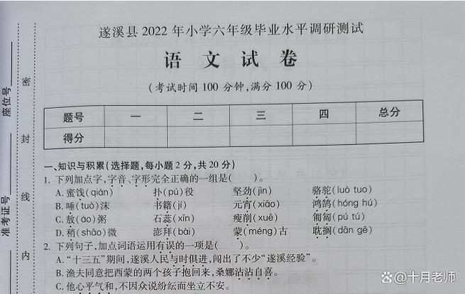 广西小学六年级升学考试截图