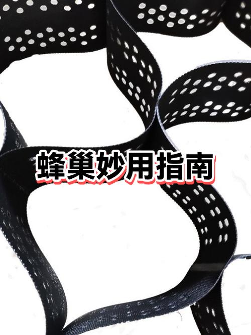 泰拉瑞亚蜂巢如何获得