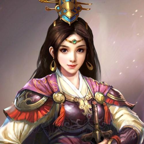 三国志13导入头像