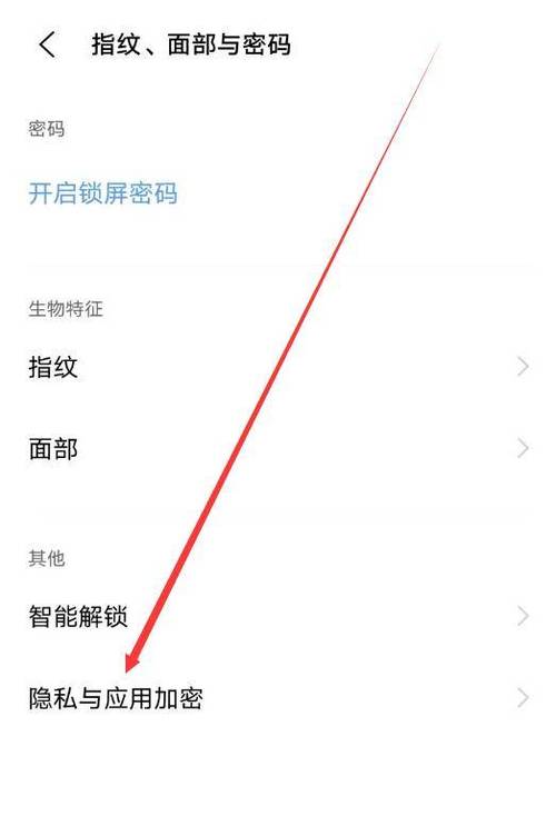 vivo手机的私密空间加密文件在哪