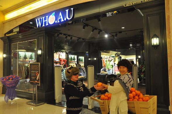 who.a.u的产品特点图标