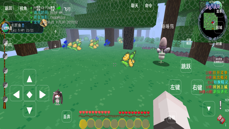 梦想精灵谷游戏介绍