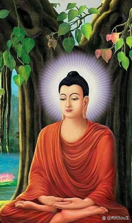 佛陀和老子谁境界高