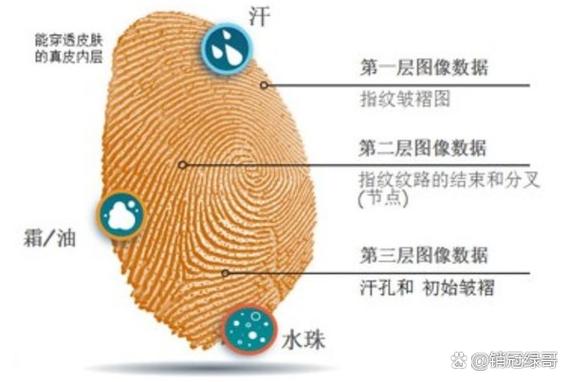 纸上的指纹能保留多久