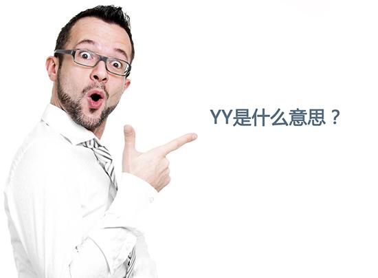 yy的几种意思图标