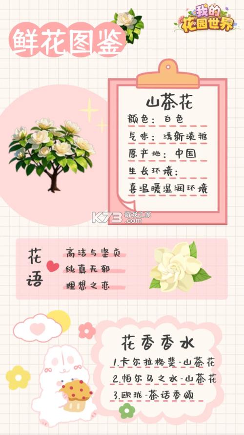 我的花园世界官网下载