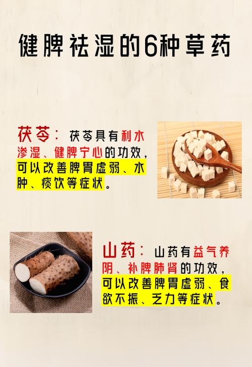 泽泻的功效与作用禁忌图标