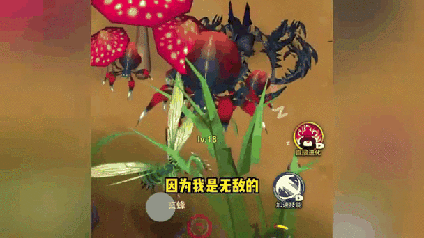 昆虫大乱斗真实视频截图