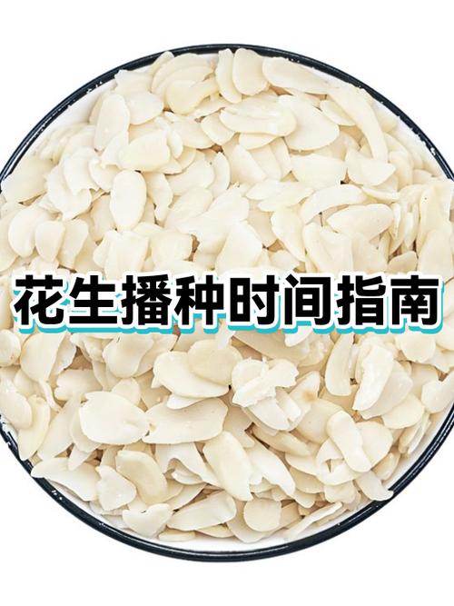 种植花生最佳时间