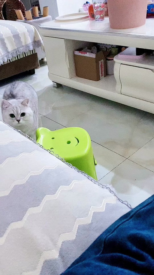 豆包挠痒痒搞笑视频截图