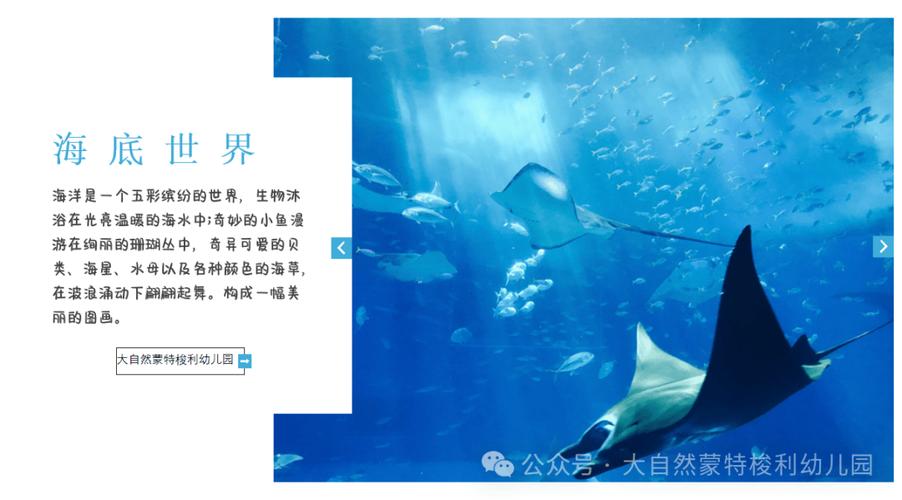 海底世界的简介50字