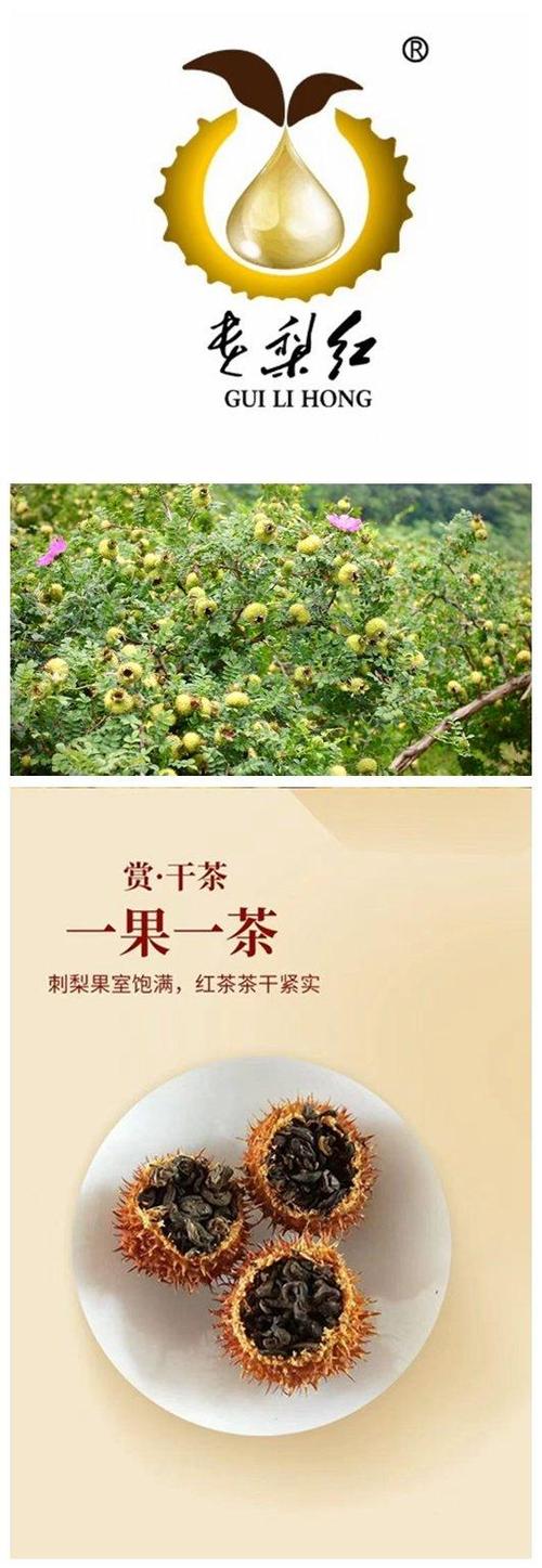 刺梨的功效与作用