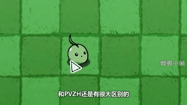 倭瓜的图片