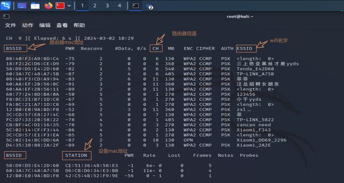 kali密码是多少