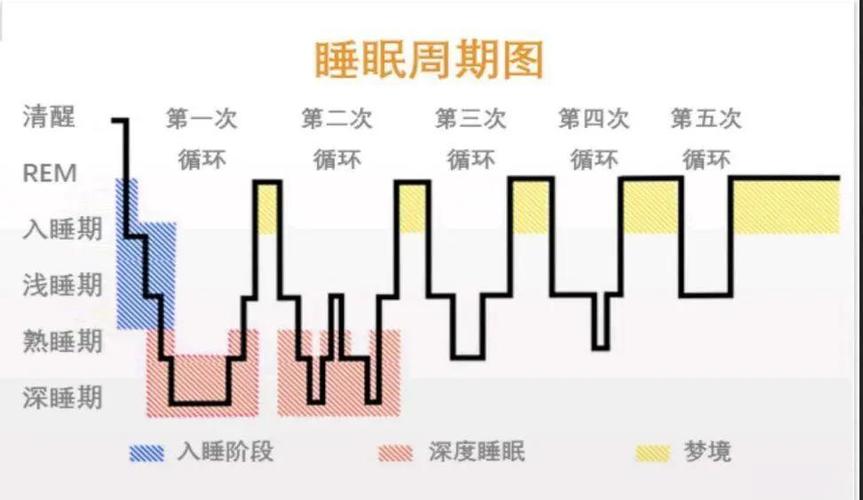 浅睡眠和深睡眠的比例