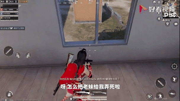 乌鸦玩游戏的视频