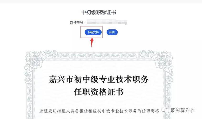 初级职称证书查询系统截图