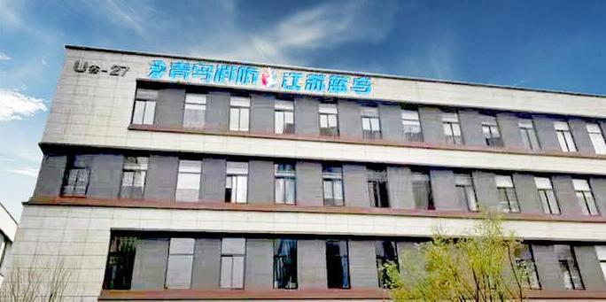 上海蓝鸟科技股份有限公司缩略图