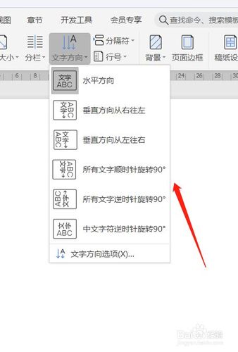 word文字方向第二行第二个