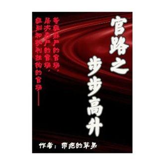 官道之步步高升无删减版