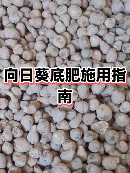 向日葵最忌三种肥料