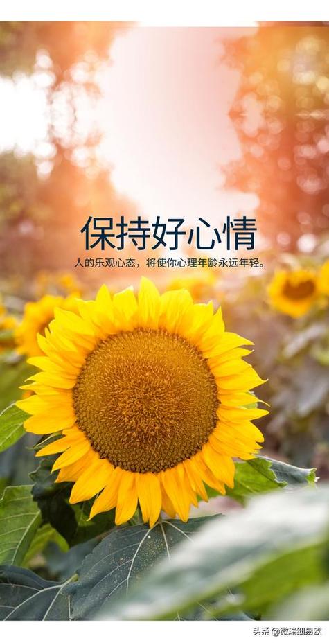 好心态好心情才有好健康